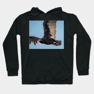 Turkey Vulture Up Close Hoodie